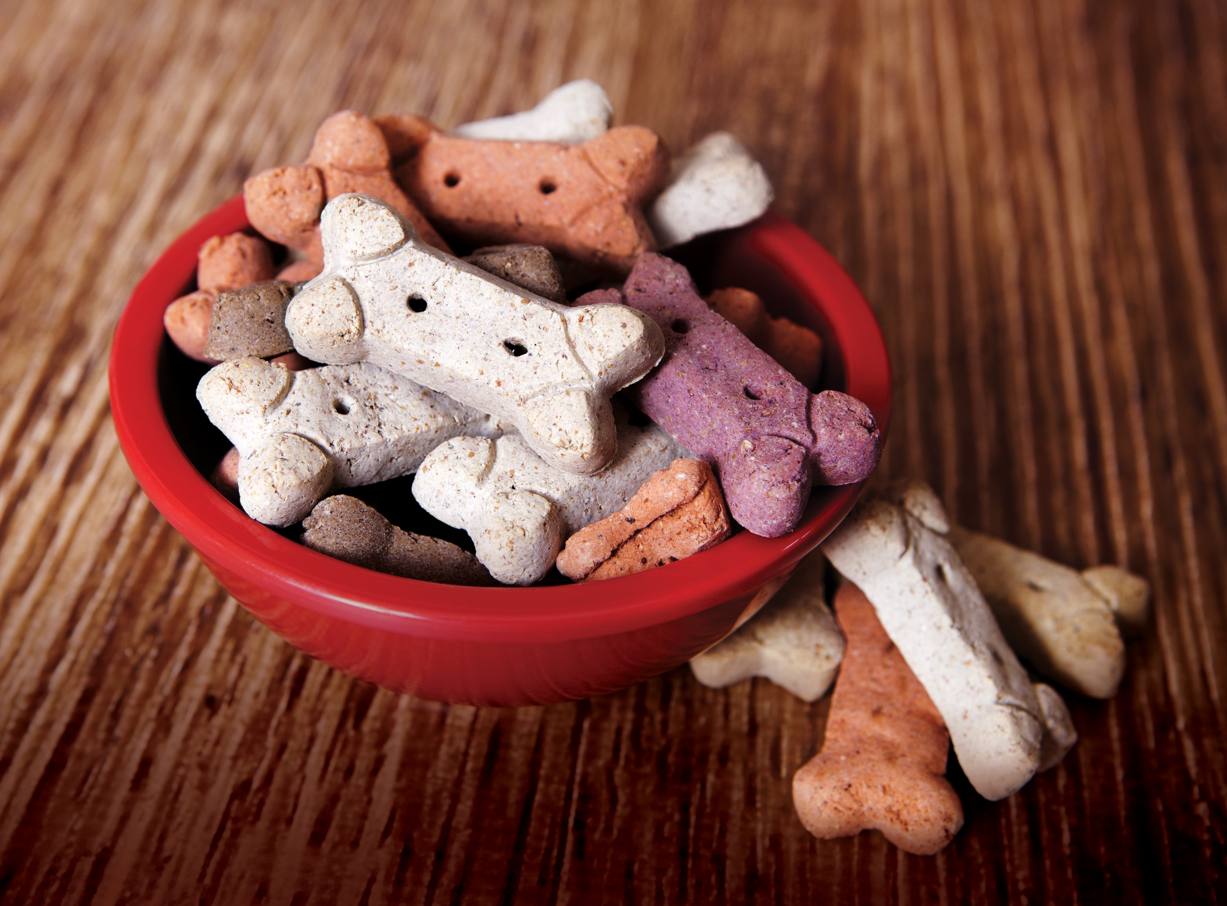 Diy Dog Treats