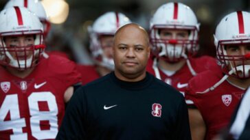 Stanford David Shaw