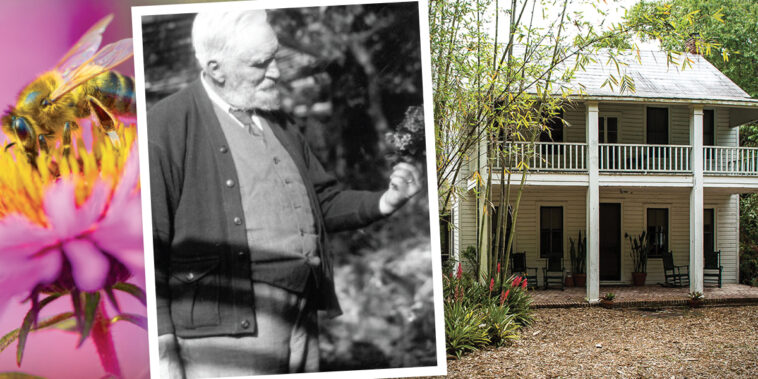 nehrling-gardens - Central Florida Lifestyle