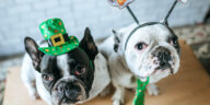 st patricks day