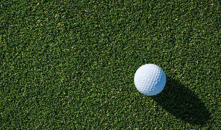 White golf ball on green grass.