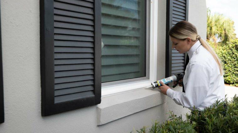 Photo of someone at Massey Services fixing up a house to prevent pests from entering.