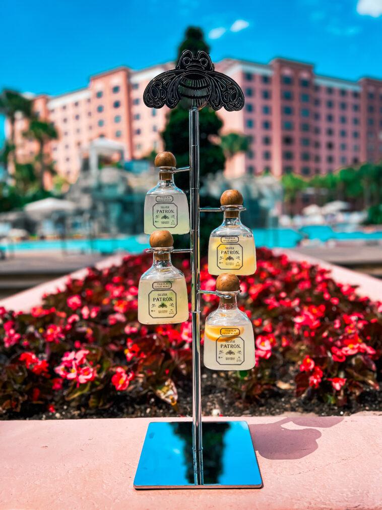 Calypso's Cinco De Mayo - Central Florida Lifestyle