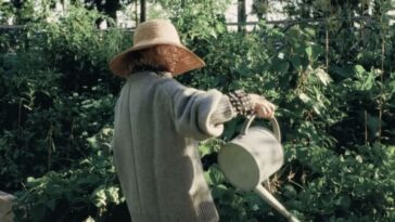 A lady watering her plants