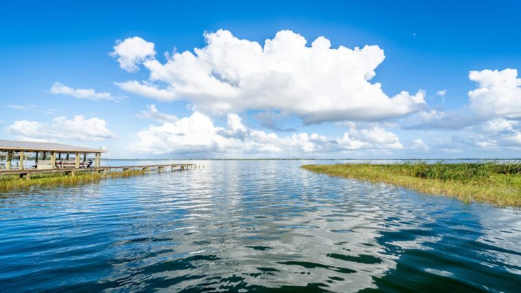 HCA Florida Healthcare Shares Water Safety Tips for This Summer