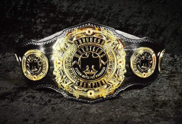 World Wrestling Belts – Shop Championship Belts with Fast Shipping