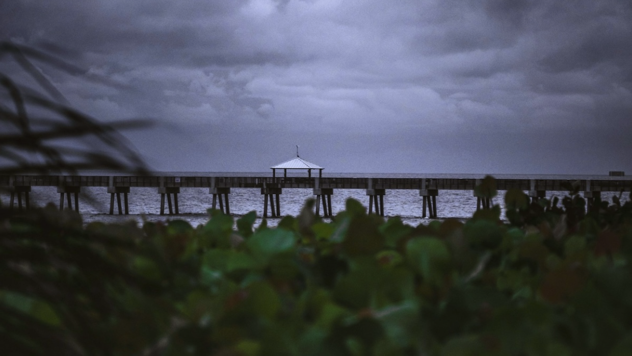 Preparing for Mold Remediation in South Florida After Hurricane Season