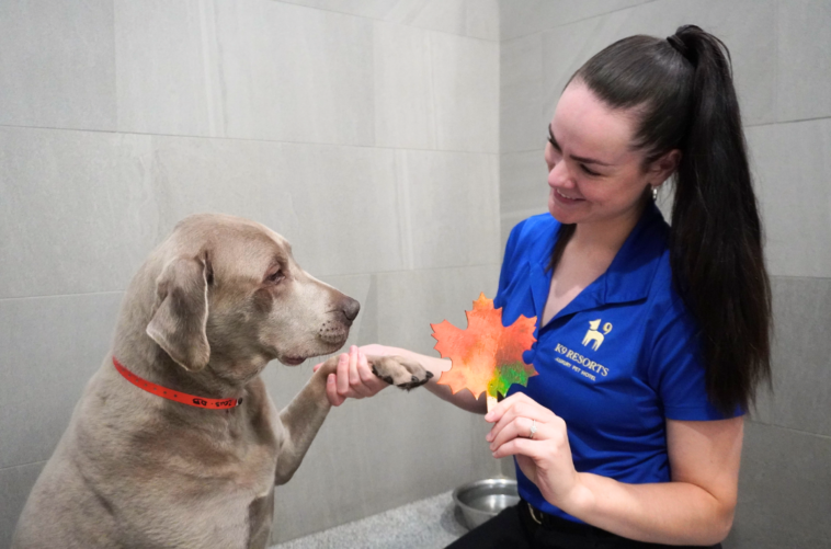 Week 5 Pawtumn Prints Central Florida Lifestyle