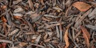 Eco Wonders grades 4 8 Mulching feature   Central Florida Lifestyle