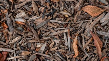Eco Wonders grades 4 8 Mulching feature   Central Florida Lifestyle