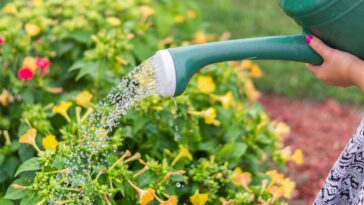 Florida Friendly Landscaping feature   Central Florida Lifestyle
