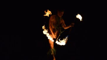 From The Pride Lands to the Big Screen Meet the Animal Kingdom Performer Who Brings His Heritage Center Stage feature   Central Florida Lifestyle