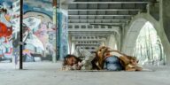Health Care for the Homeless Co Applicant Board feature   Central Florida Lifestyle