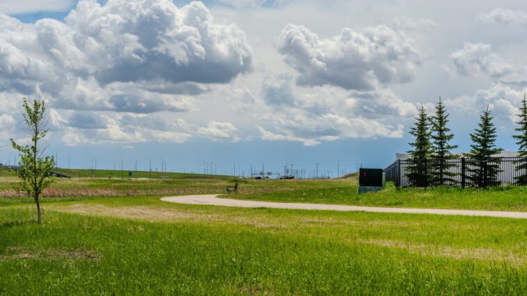 New Park Coming to New Tampa's K-Bar Ranch feature - Central Florida Lifestyle